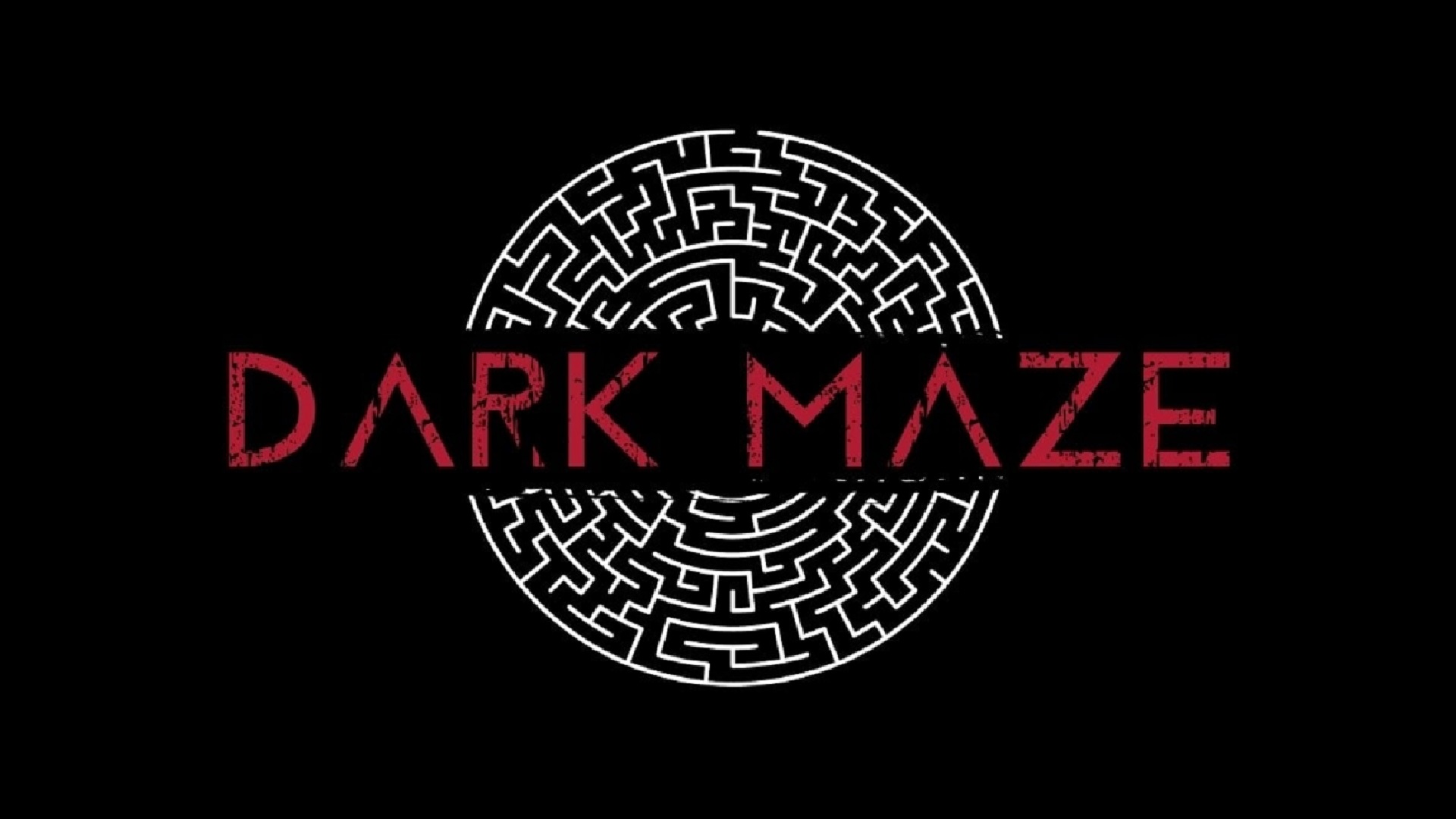 Dark Maze Escape Rooms